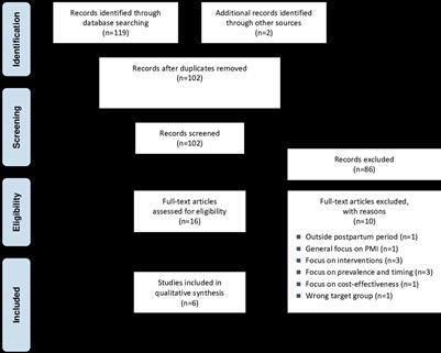 Towards effective screening for paternal perinatal mental illness: a meta-review of instruments and research gaps